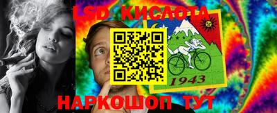 PSILOCYBIN Гатчина