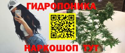 гашик Балаково