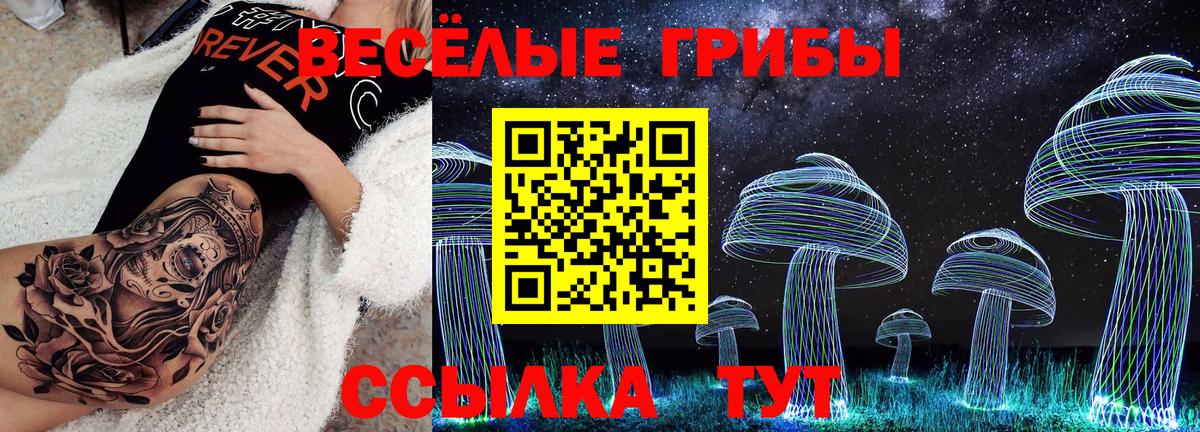 Галлюциногенные грибы Psilocybe  где купить наркоту  Зеленокумск  Вход с VPN 