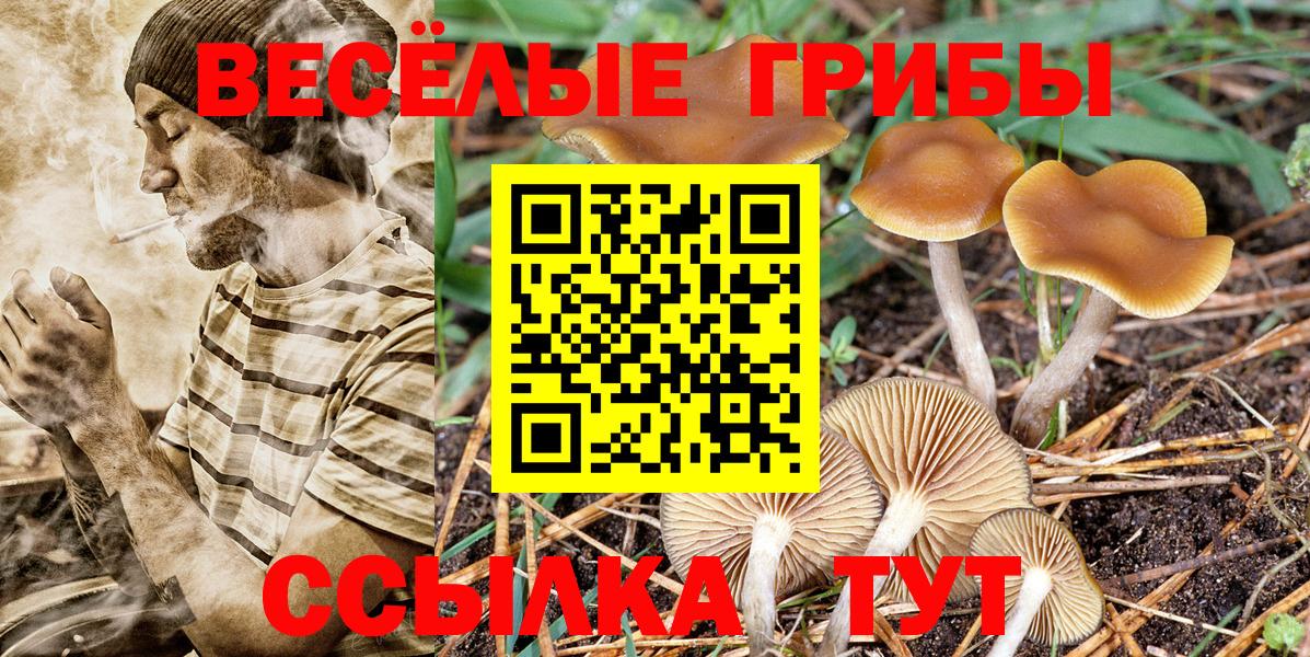 Псилоцибиновые грибы Magic Shrooms Зеленокумск